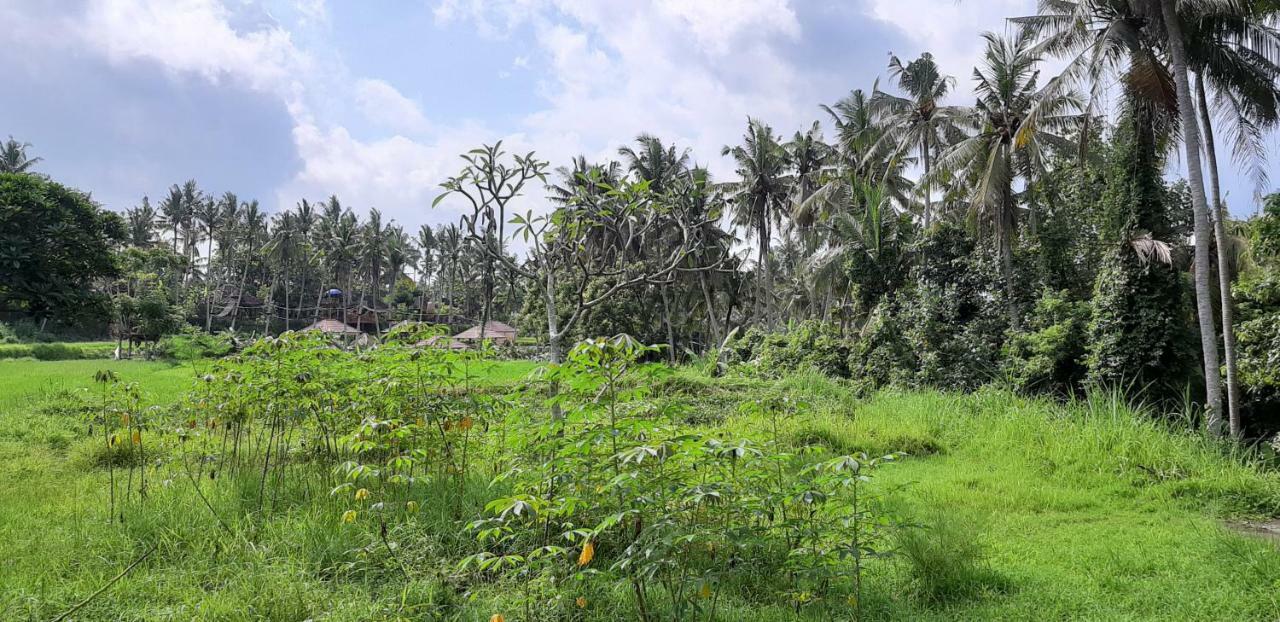 Pondok Tulasi Semaya House Payangan Exterior foto