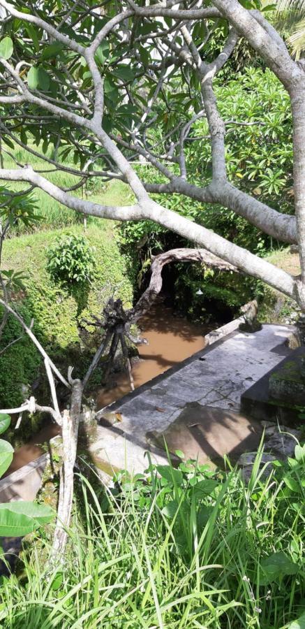 Pondok Tulasi Semaya House Payangan Exterior foto
